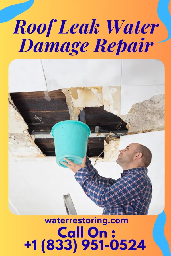 Roof Leak Water Damage Repair in Dover, TN